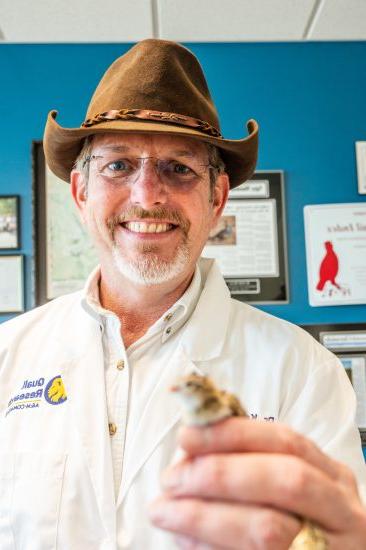 A man holds a newly hatched quail toward the viewer.